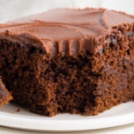 A white dessert plate with a piece of chocolate cake on it, and a fork.