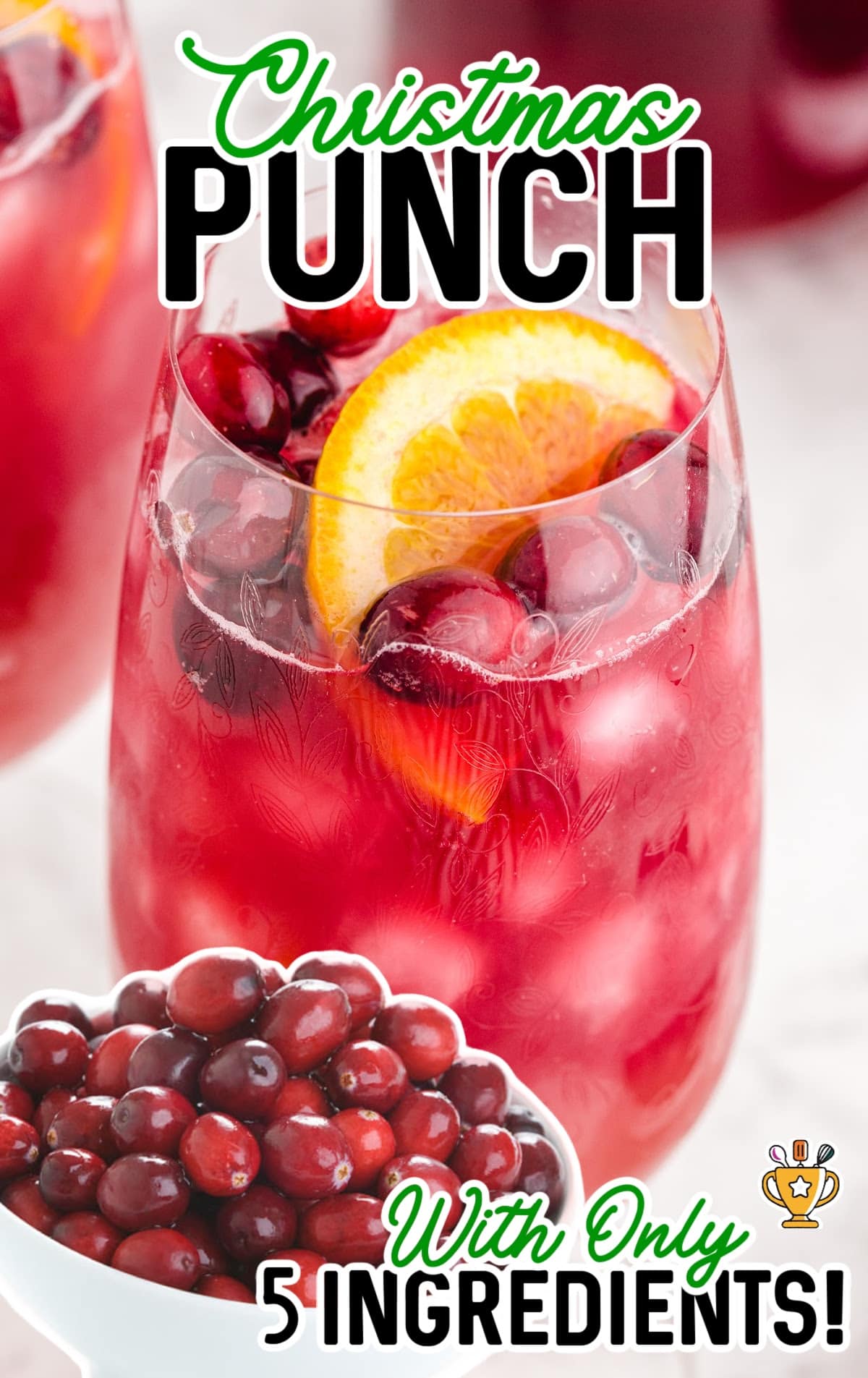 Cranberry Christmas Punch With Ginger Ale | Drinks