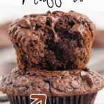 Double Chocolate Chip Muffins on a plate