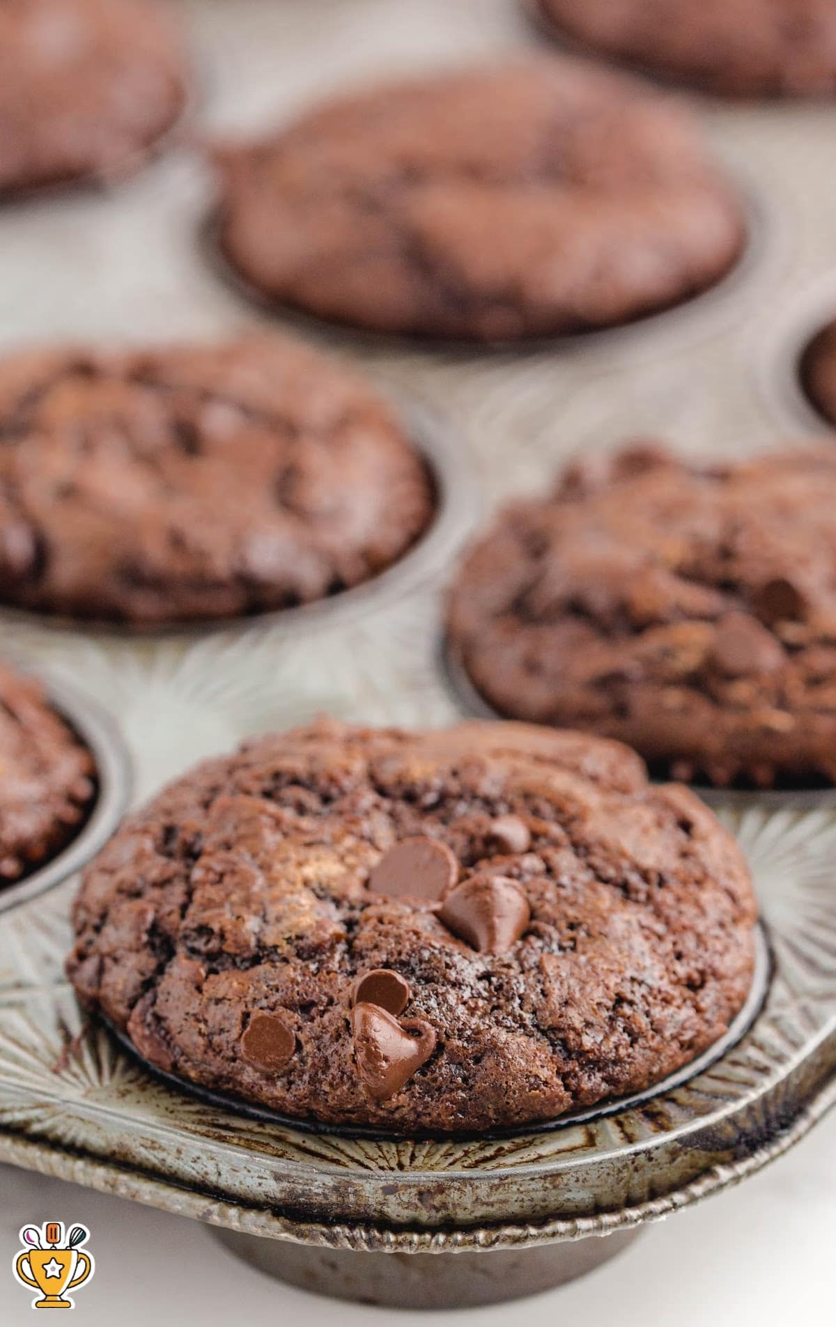 Double Chocolate Chip Muffins in a muffin pan