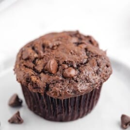 A Double Chocolate Chip Muffin