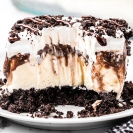 A white plate contains a piece of Ice Cream Dessert.