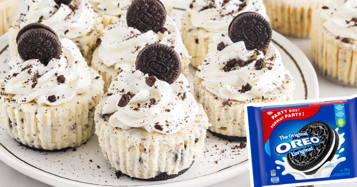 Mini Oreo Cheesecake on a plate