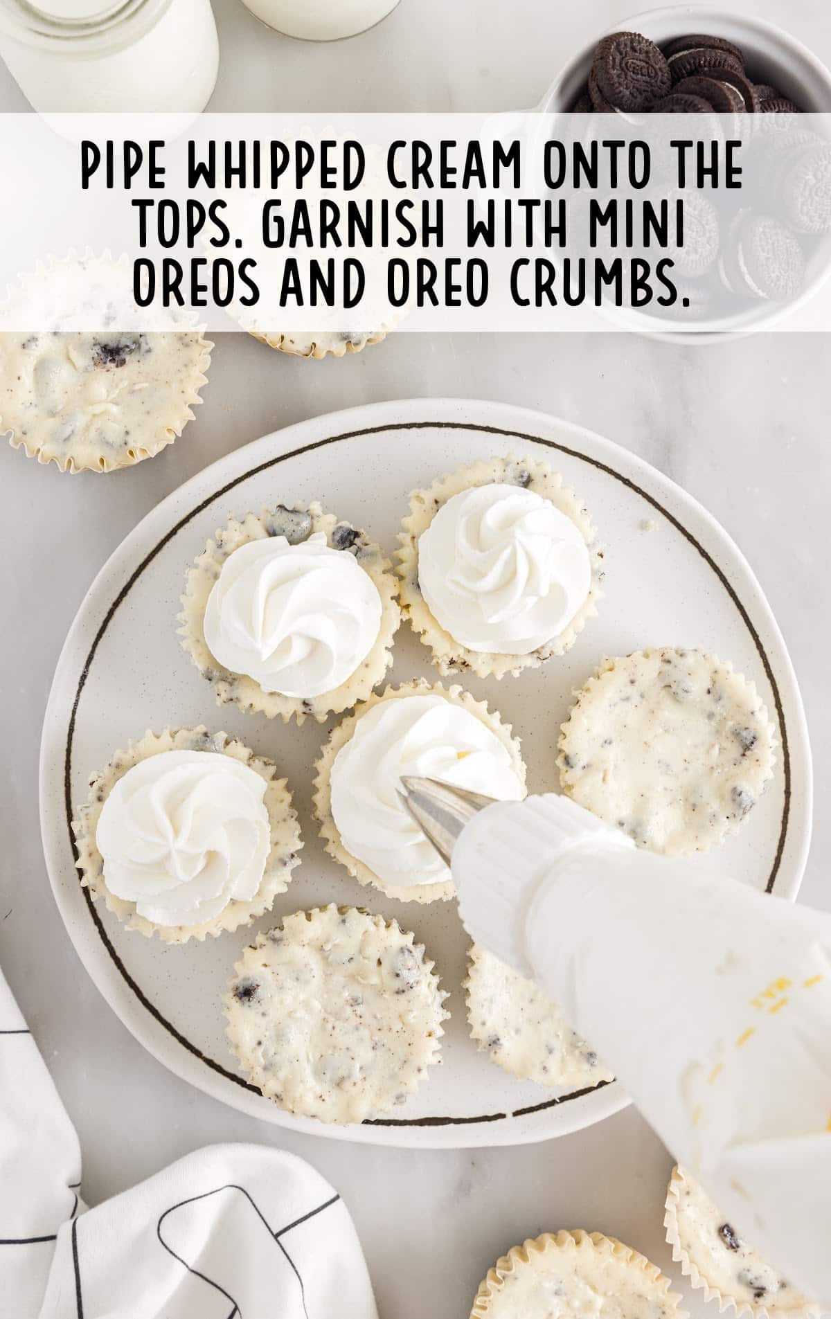 Mini Oreo Cheesecake