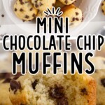 Mini Chocolate Chip Muffins in a white bowl.