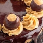 A close up photo of Buckeye Cheesecake