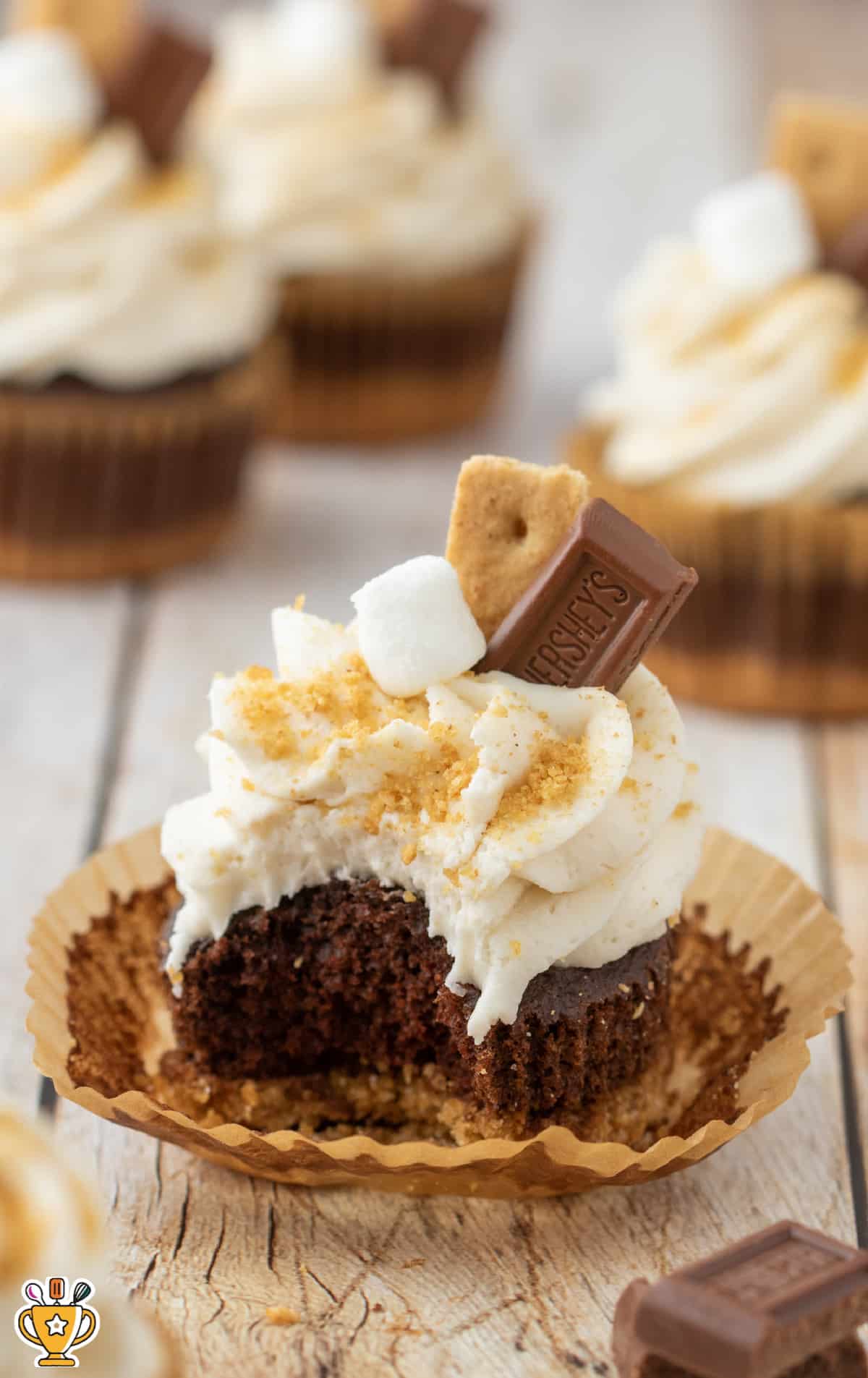 a S'mores Cupcake with a bunch others at the back
