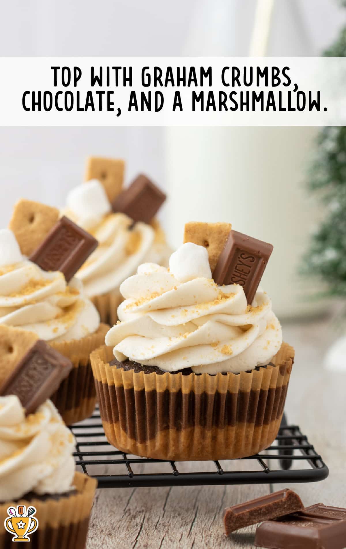 S'mores Cupcakes topped with graham crumbs, chocolate and a marshmallow