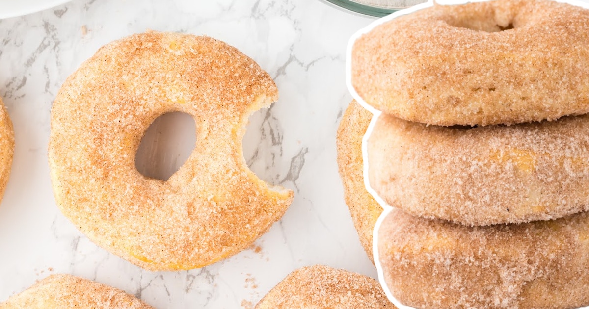 a Air Fryer Donut with a bite and a stack of Air Fryer Donuts on the side