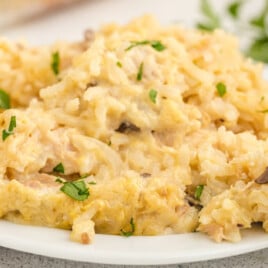 Chicken and Rice Casserole on a plate with a fork