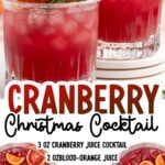 Cranberry Christmas cocktail served in glasses with crushed ice and blood orange garnish, emphasizing a refreshing and festive holiday vodka cocktail.