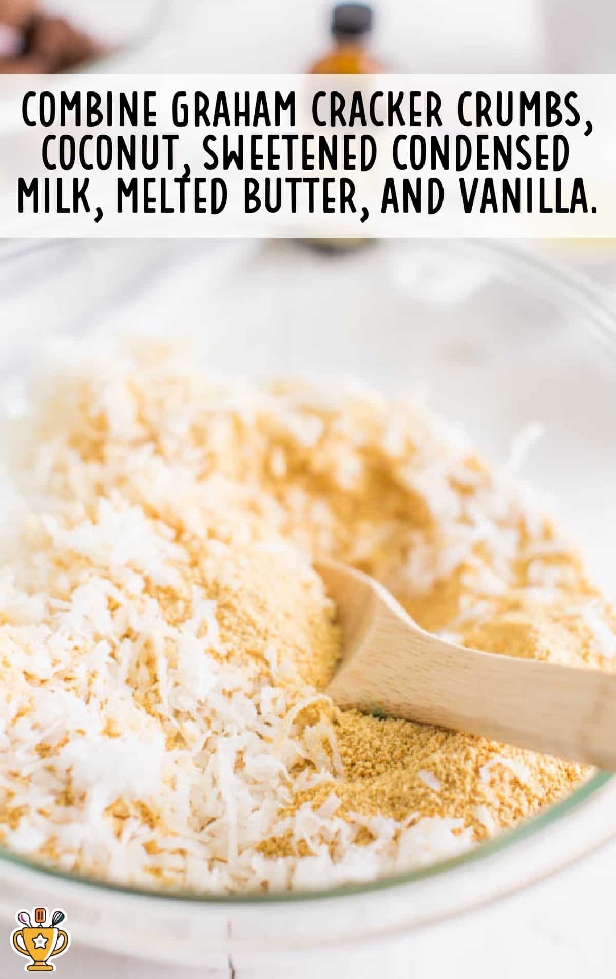 graham crackers crumbs, coconut, sweetened condensed milk, melted butter and vanilla combined together in a bowl