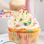 a Funfetti Cupcake on a plate