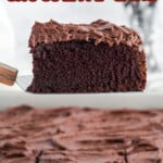 a piece of Hershey Chocolate Cake held by a spatula