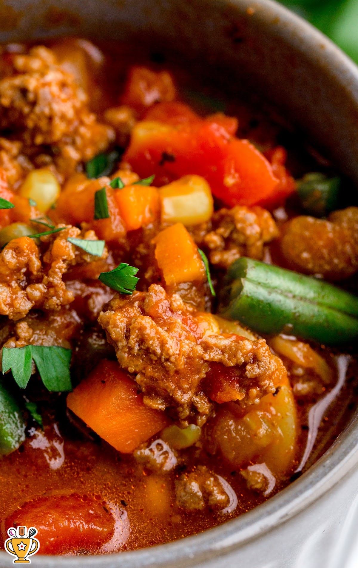 Hamburger Stew in a bowl