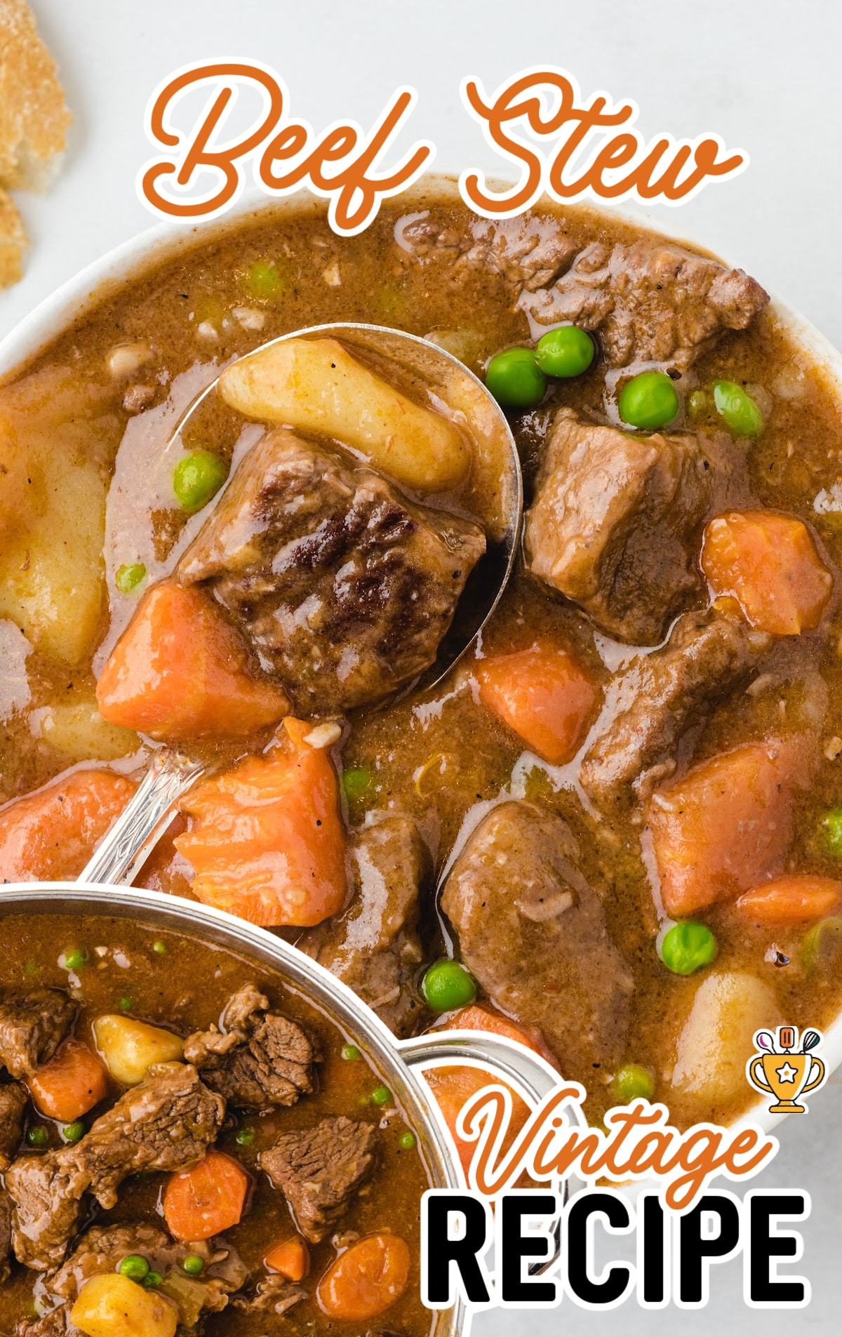 a close up photo of Beef Stew, with a spoon holding some Beef Stew