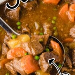 a ladle holding some Beef Stew