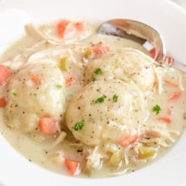 Chicken and Dumplings on a plate with a spoon in it