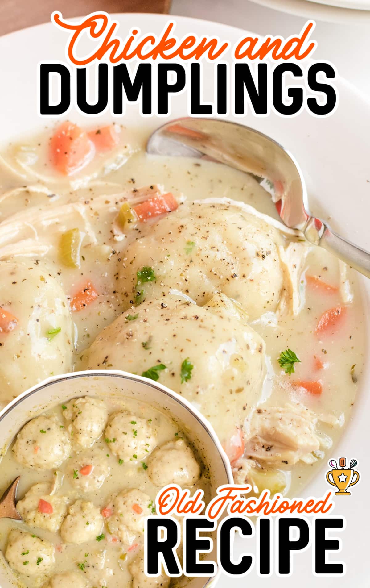 Chicken and Dumplings on a plate and in a pot