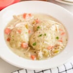 Chicken and Dumplings on a plate