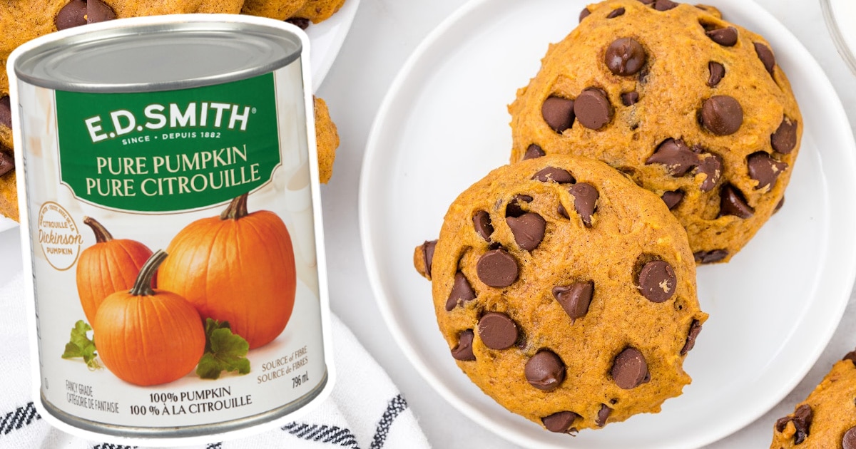 two Pumpkin Chocolate Chip Cookies on a white plate and a can of pure pumpkin on the side