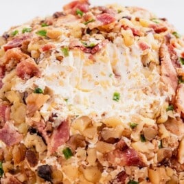 a Cheese Ball with a bite on it