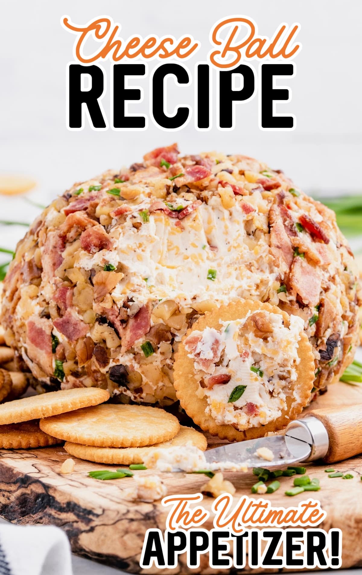 a Cheese Ball with a bite on it