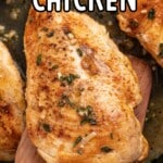 Pan Seared Chicken