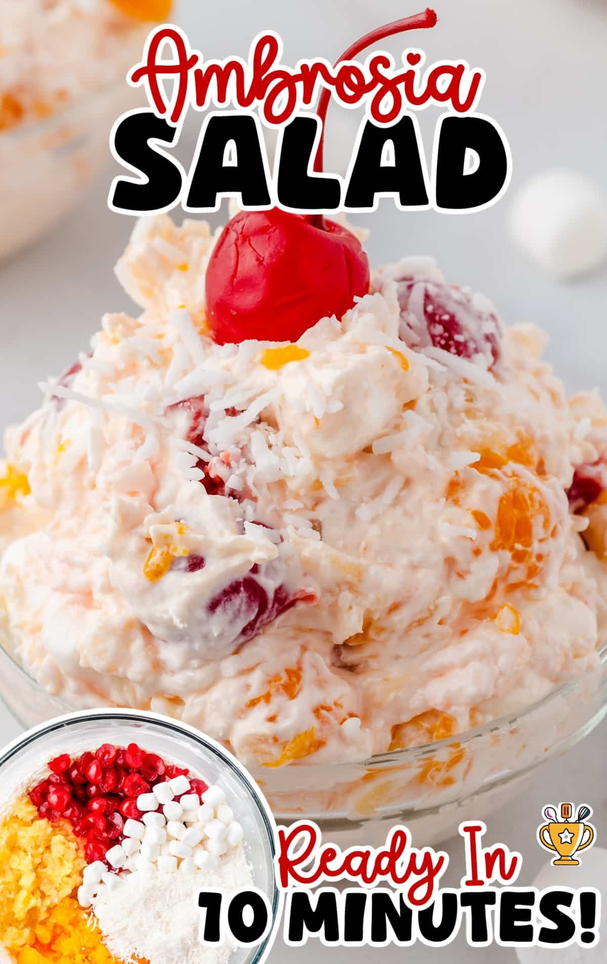 a bowl full of Ambrosia Salad