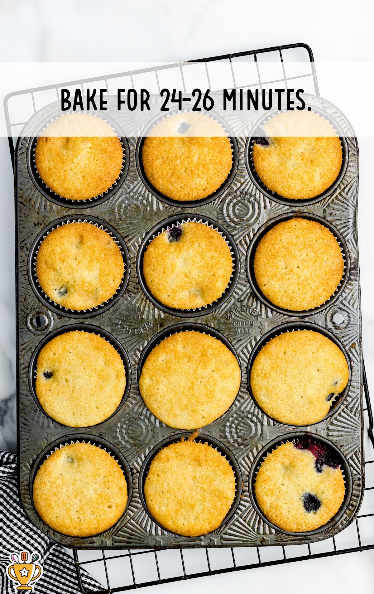 baked Blueberry Cupcakes in a cupcake pan