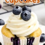 a Blueberry Cupcake with three Blueberries on top