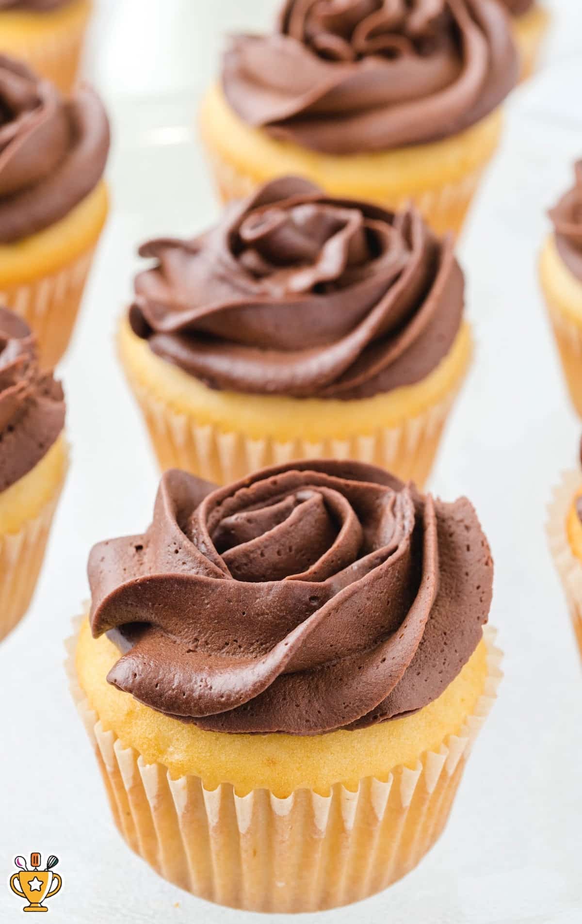 a bunch of Boston Cream Cupcakes