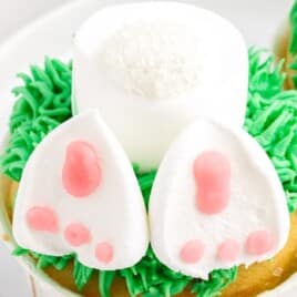 a Bunny Butt Cupcake on a plate