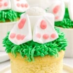a Bunny Butt Cupcake on a plate