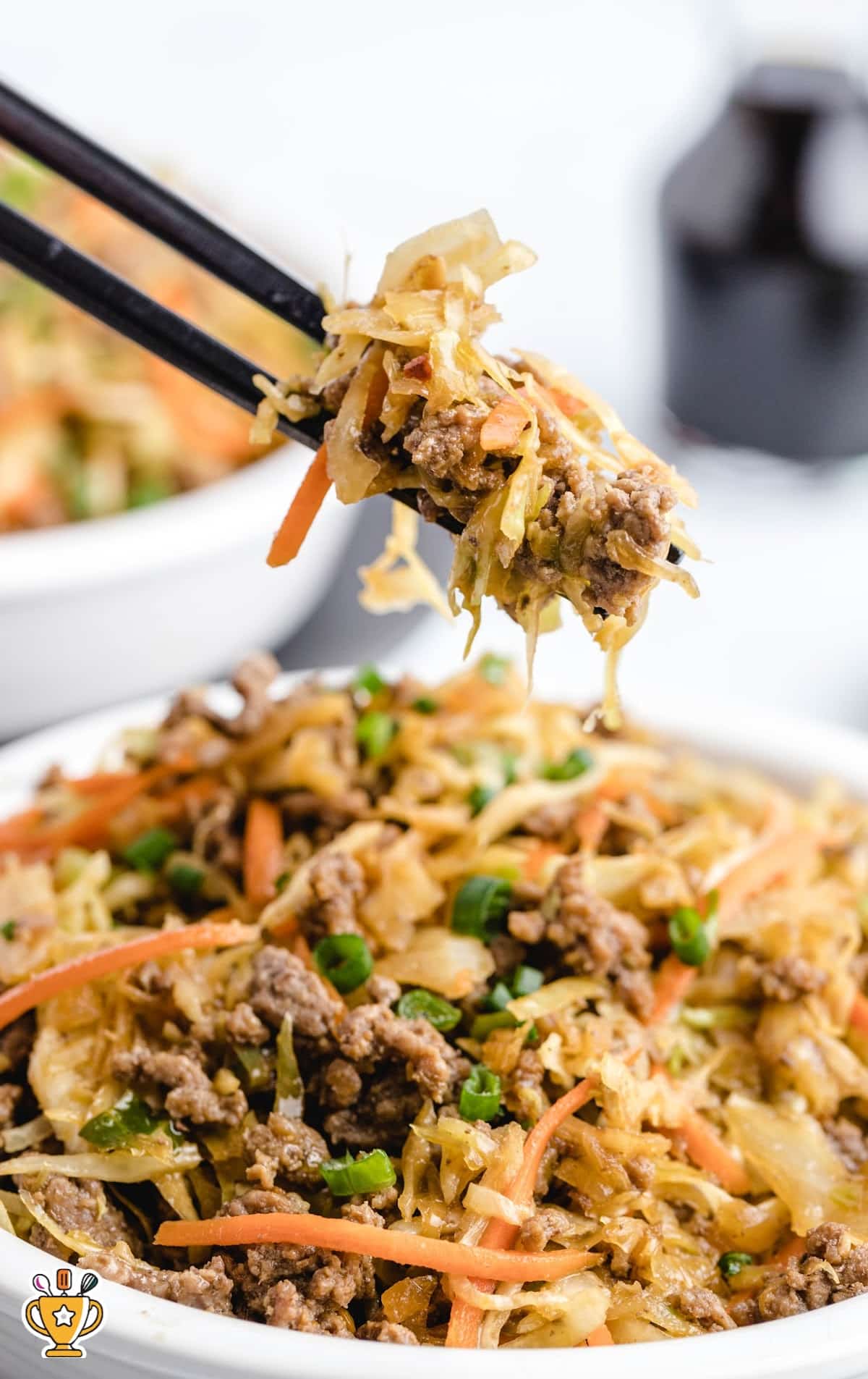 Egg Roll in A Bowl in a bowl