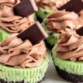Mini Mint Cheesecakes