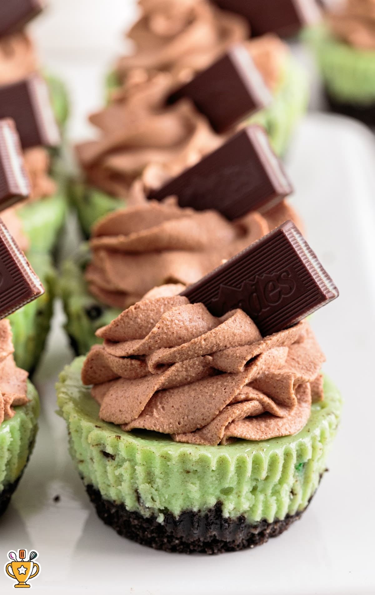 Mini Mint Cheesecakes