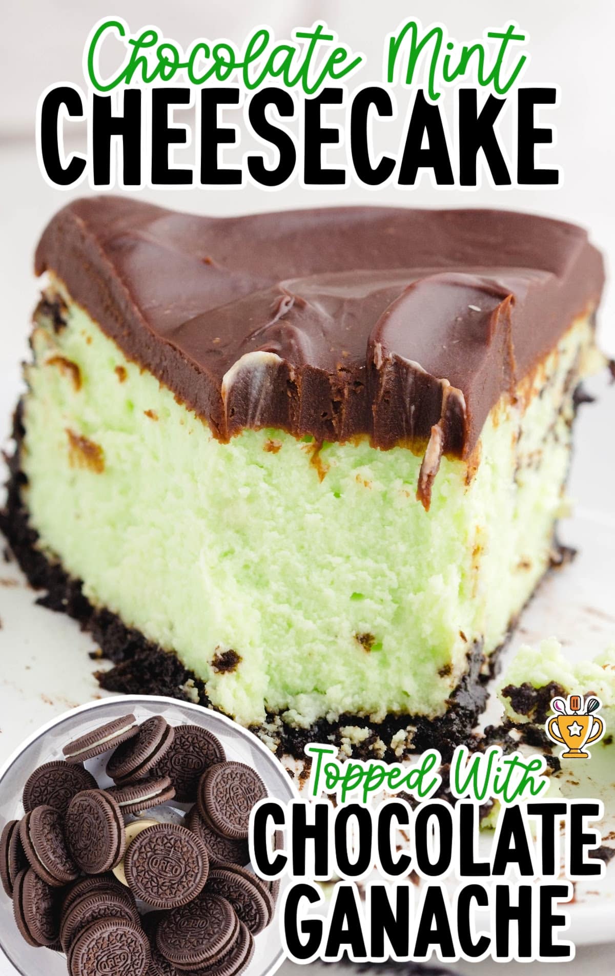 a piece of Chocolate Mint Cheesecake