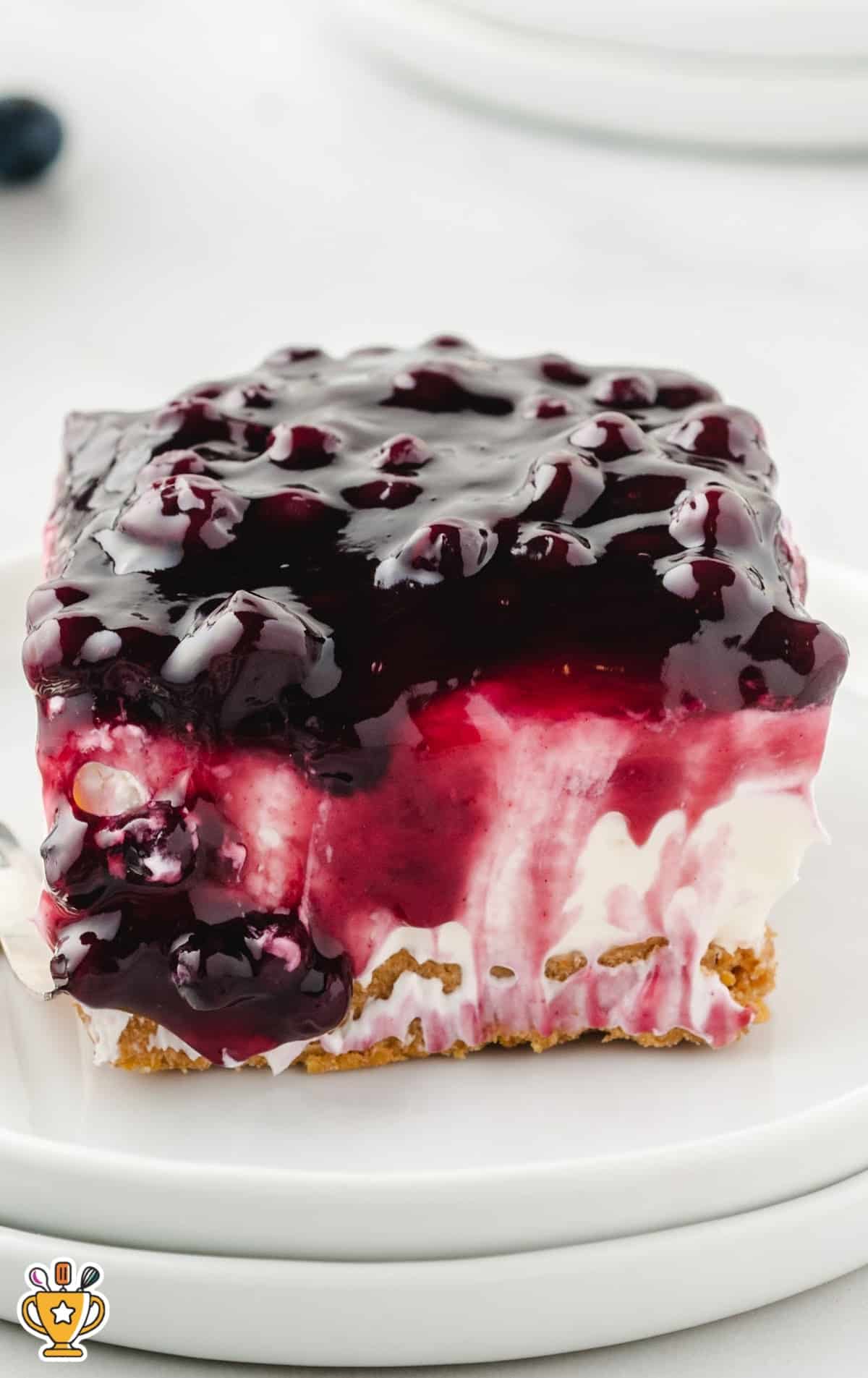 a piece of No Bake Blueberry Cheesecake on a plate