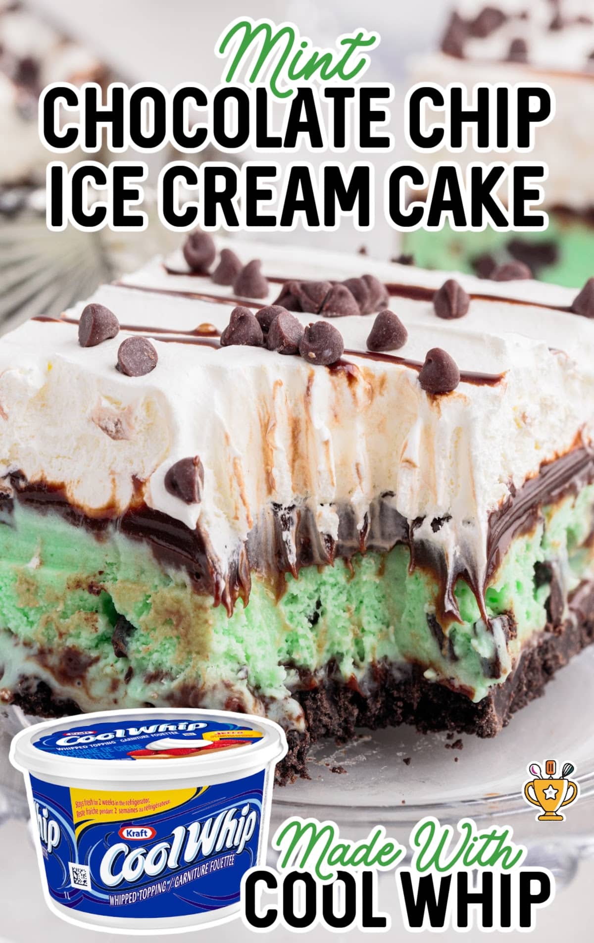 a piece of Mint Chocolate Chip Ice Cream Cake on a plate