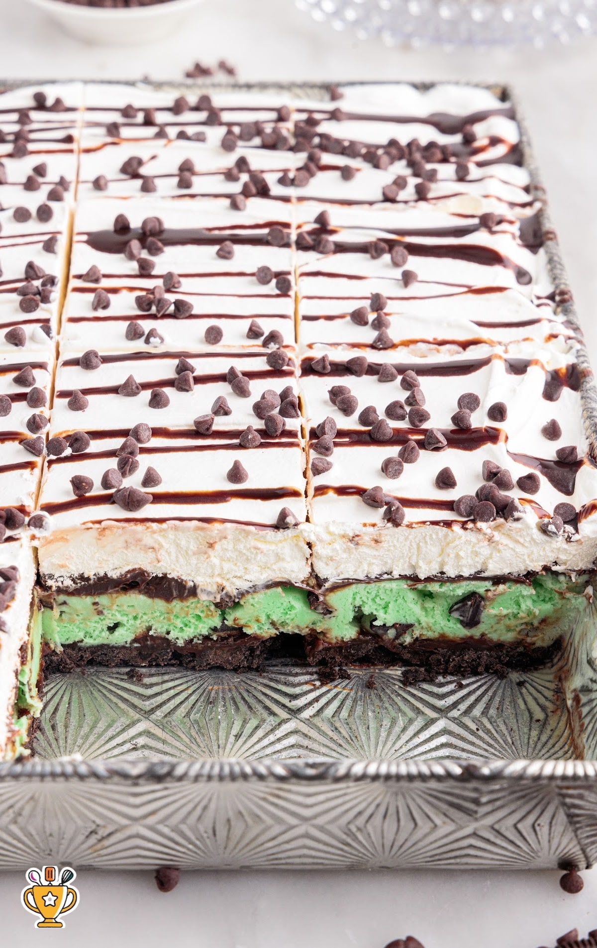 Mint Chocolate Chip Ice Cream Cake in a baking pan
