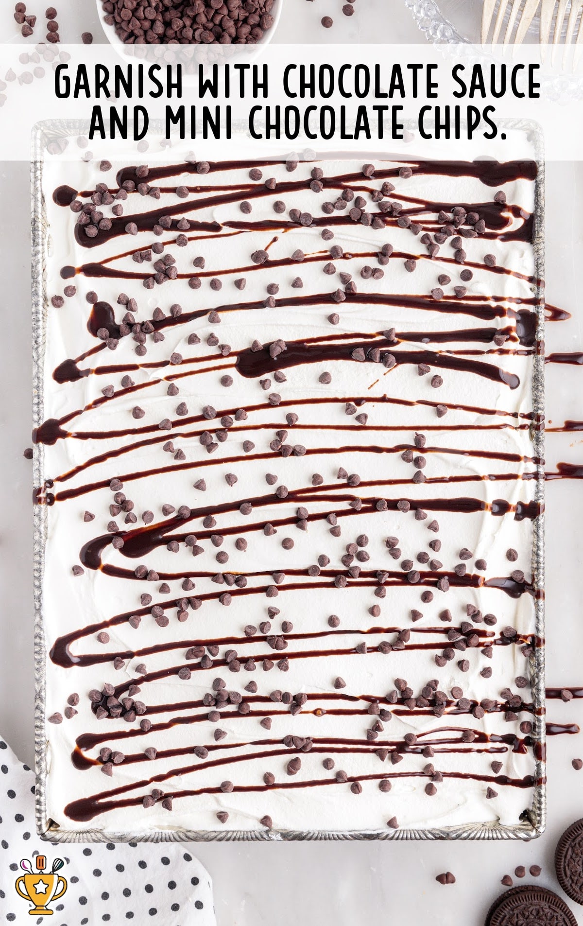 chocolate sauce and mini chocolate chips garnished on top
