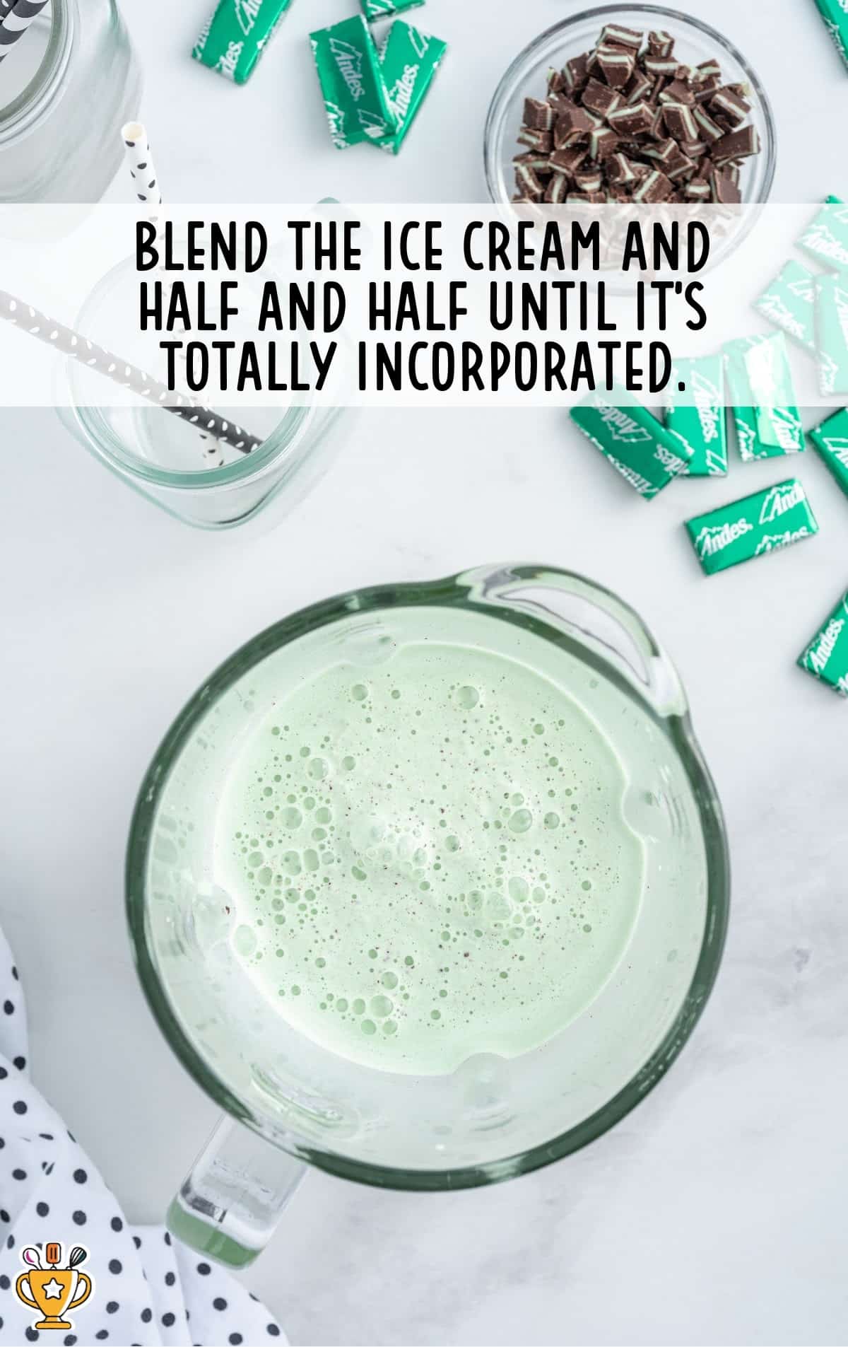 Mint Chocolate Chip Milkshake