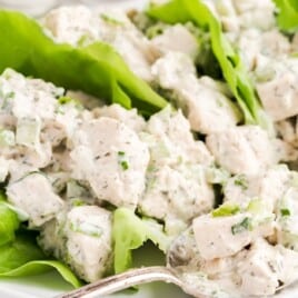 Chicken Salad on a plate with a spoon holding some of it