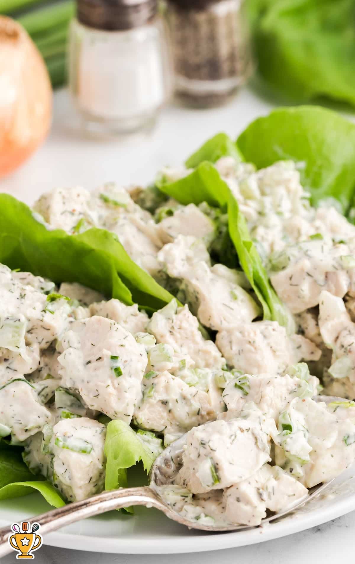 Chicken Salad on a plate with a spoon