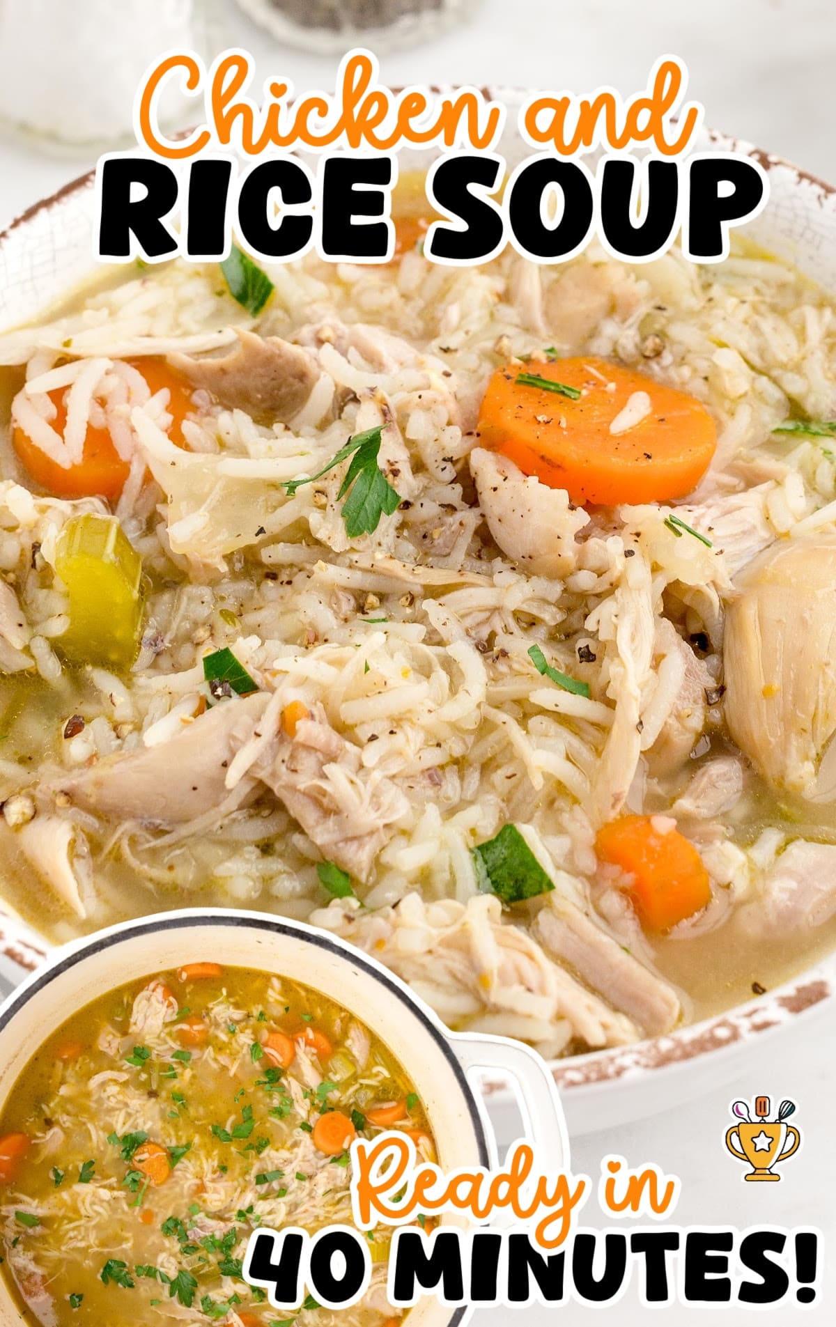 Chicken and Rice Soup in a bowl