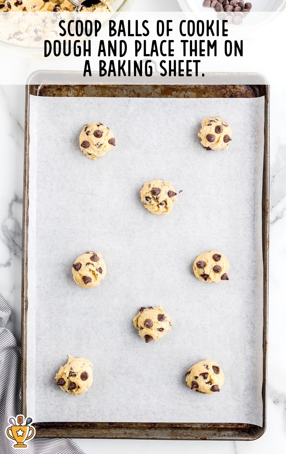 The cookies are evenly spaced on a cookie sheet.