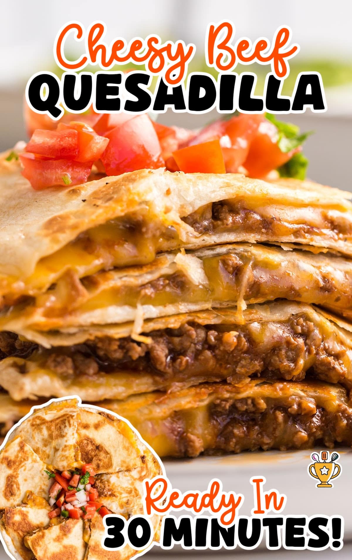 a piece of Cheesy Beef Quesadilla