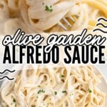 Olive Garden Alfredo Sauce on a plate and a fork holding some