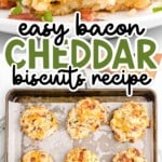 Bacon Cheddar Biscuits on a baking tin and on a white plate
